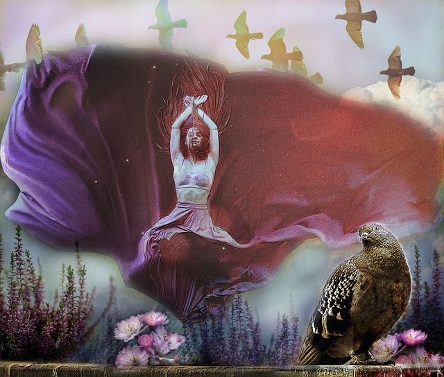 特殊拍摄技 特殊拍摄技